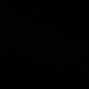 Meet your Posher, Averie